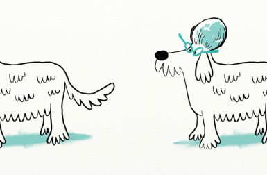 Dog Illustrations by Jared Chapman