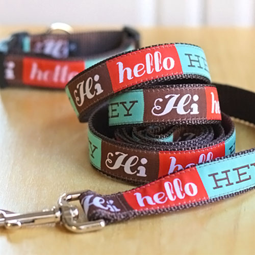 Dog Collars and Leashes by Jessica Jones