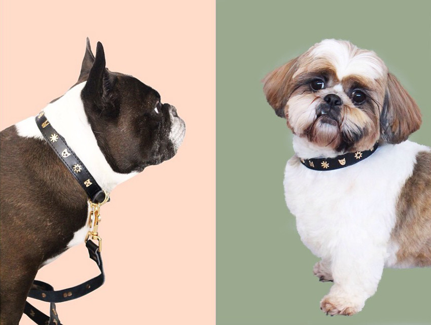 Limited Edition Karen Walker Dog Collars and Leashes