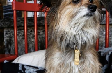 Kelly Wearstler Custom Engraved Dog Tags