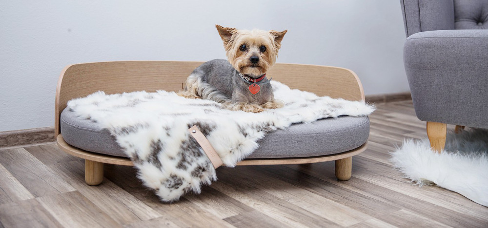 Modern Dog Beds and Blankets from Labbvenn