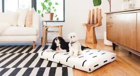 Big Exciting News: Dog Milk to Become Design Milk Pets