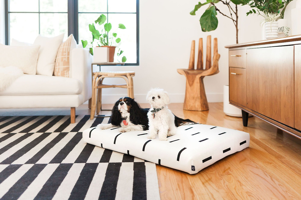 Stylish Designer Dog Beds From LAY LO Pets