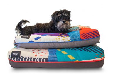 NEW Dog Beds from Lion + Wolf