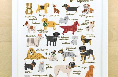 Man's Best Friend Dog Alphabet Poster from Little Low Studio