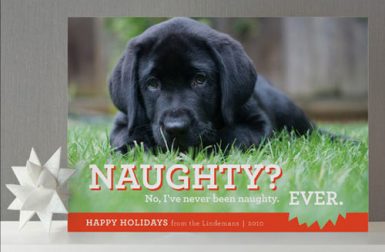 Dog-Themed Holiday Cards