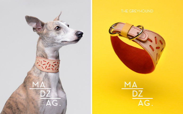 Bauhaus-Inspired Dog Collars & Leashes by MADZAG