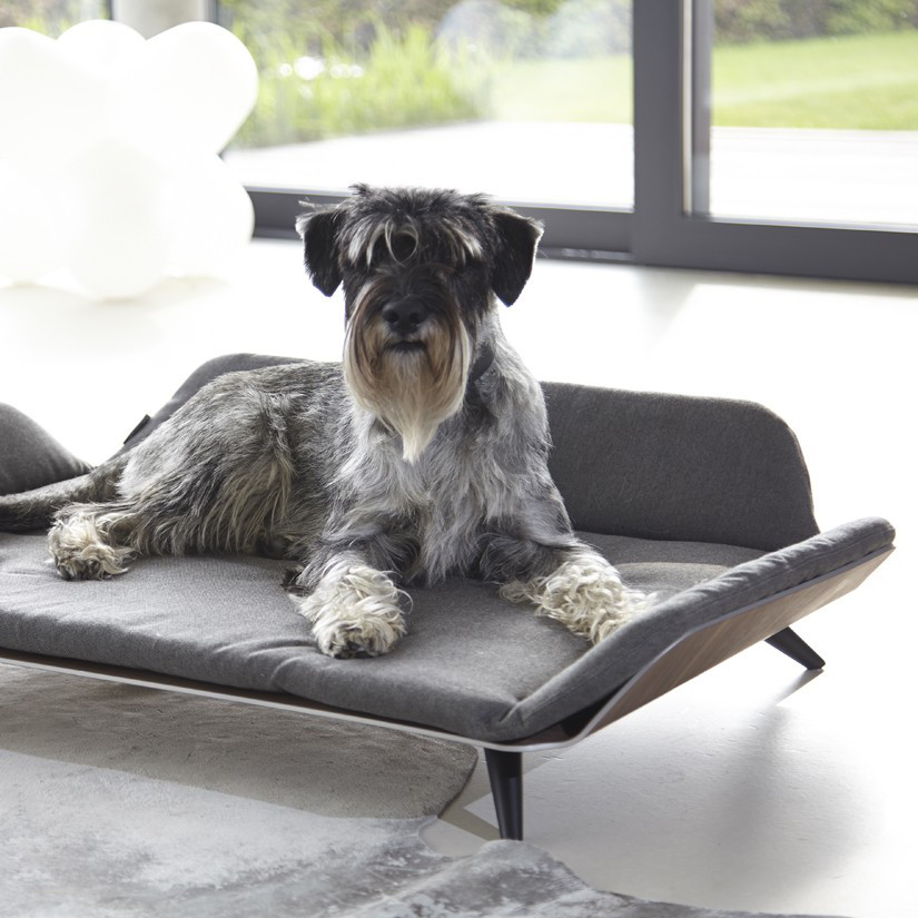 Bauhaus-Inspired Dog Accessories from MiaCara