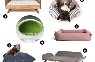 Dog Milk Holiday Gift Guide: 18 Cozy Beds for Dogs