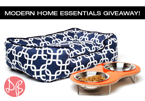 Modern Dog Bed and Feeder Giveaway with Domestic Beast