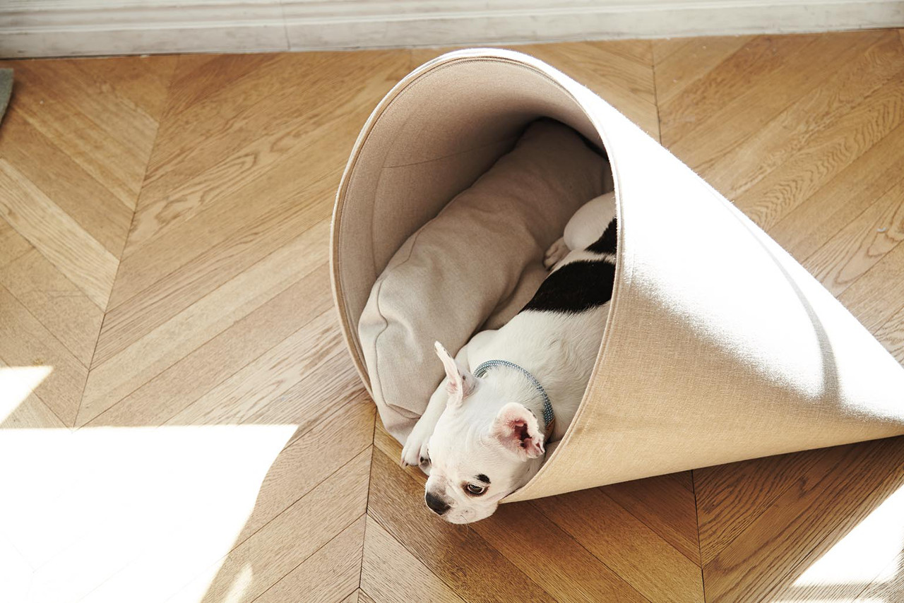 https://design-milk.com/images/2019/10/modern_dog_bed_pet_furniture_howlpot_01.jpg