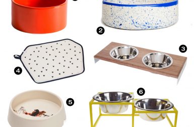 Dog Milk Holiday Gift Guide: 12 Modern Bowls, Feeders, and Dining Accessories