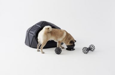 Head or Tails Dog Accessories Collection by Nendo
