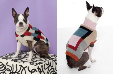 New Dog Sweaters from Dusen Dusen