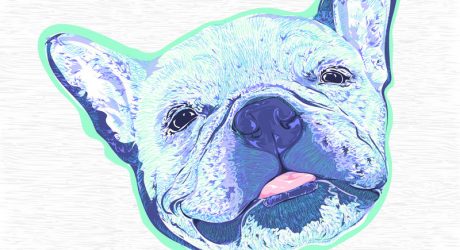 Custom Dog Portraits and Illustrated Art Prints by Dottie Dog