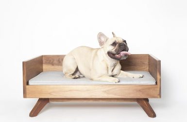 Modern Dog Beds from PUP & KIT