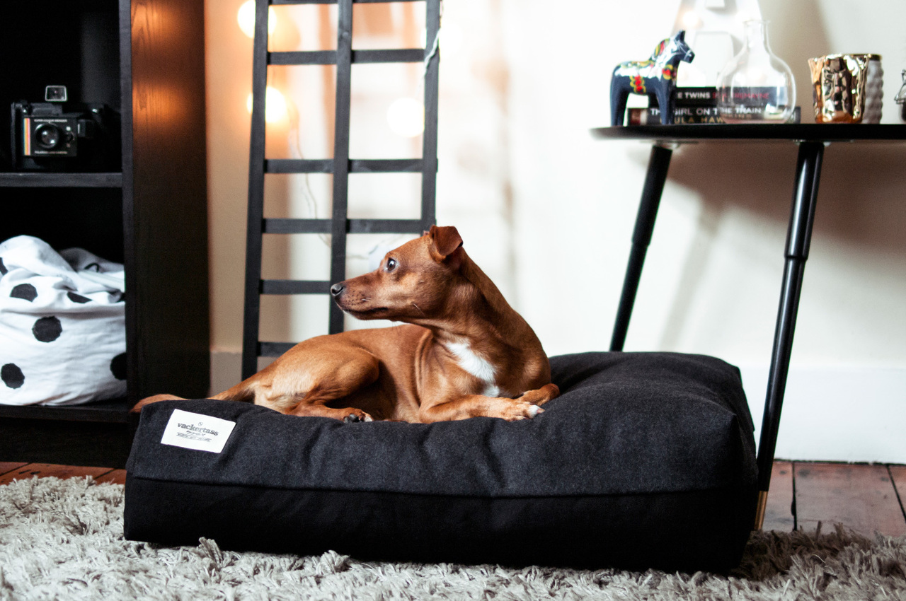 Wool and Canvas Dog Beds from Vackertass Supply Co.