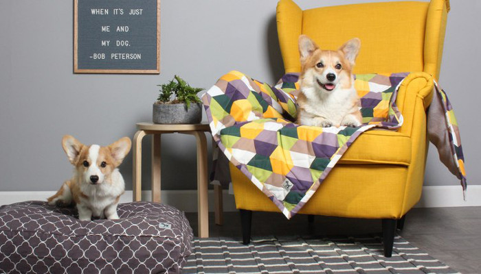 Canvas Pet Blankets from Molly Mutt