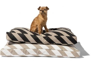 Mr. Dog Stripe Mattress Bed