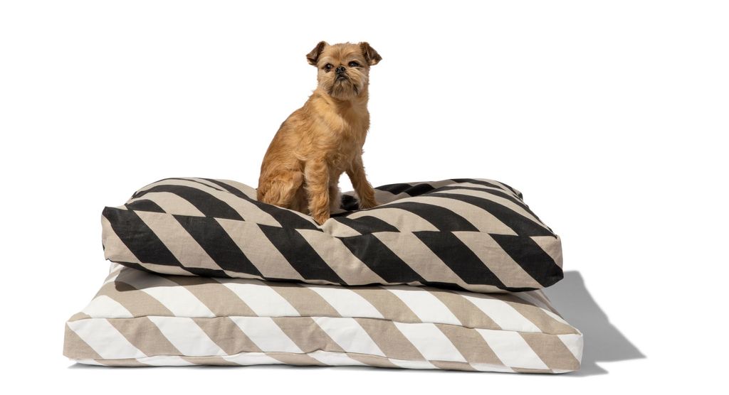 Mr. Dog Stripe Mattress Bed