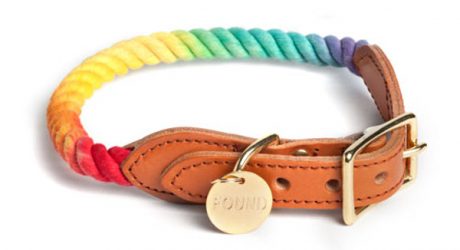 Prismatic Rope Dog Collar and Leash from Found My Animal