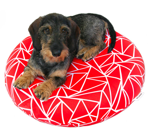 Inflatable Dog Beds from Muovo