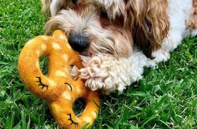 Natural Wool Dog Toys from East Coast Pets