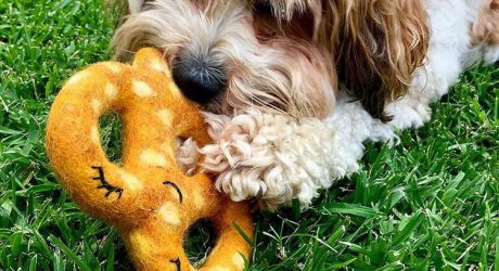 Natural Wool Dog Toys from East Coast Pets