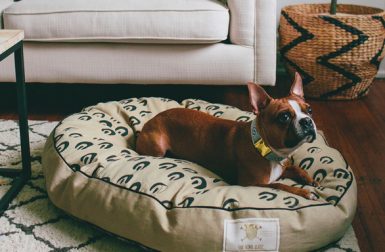 Fais-do-do Dog Beds from See Scout Sleep