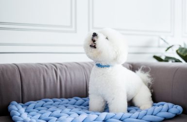 Ohhio Braid Chunky Knit Dog Mats and Beds