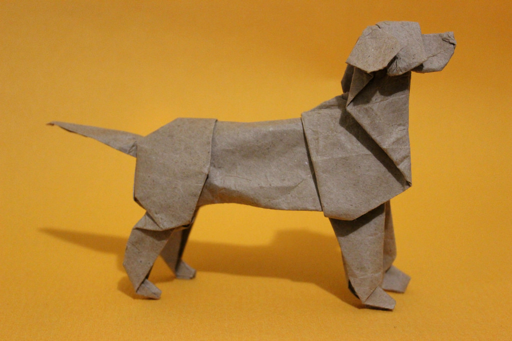 Origami Dogs by Steven Casey