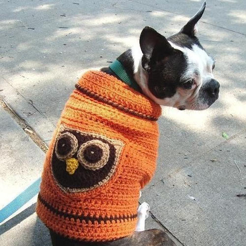 Owl Dog Sweater