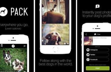 Pack: The Social Network for Dog Lovers