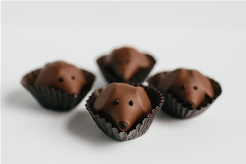 Peanut Butter Pups: Dog-Shaped Chocolates from Gearharts