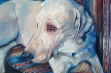 Pet Portrait Oil Paintings by Darlene Pucillo