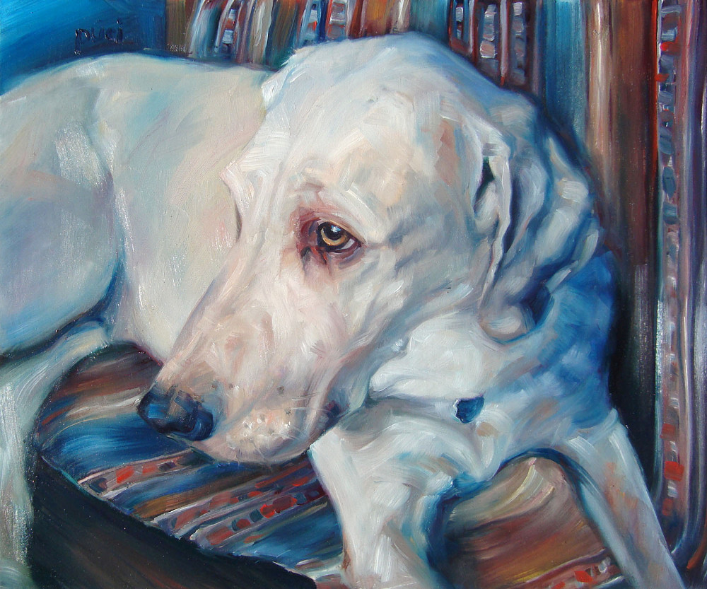Pet Portrait Oil Paintings by Darlene Pucillo