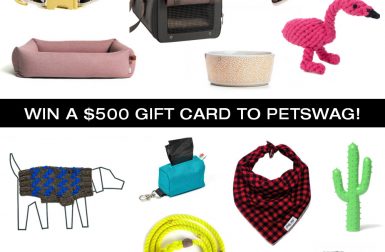 Giveaway: Win a $500 Gift Card to Petswag