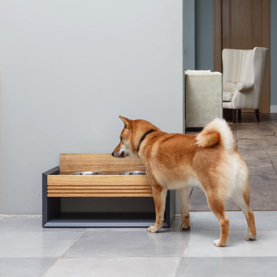 Modern Pet Feeders, Beds, and More from PETTEL