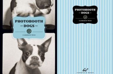Photobooth Dogs