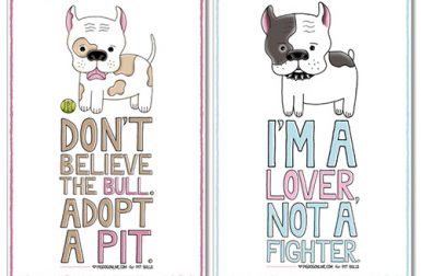 Pit Bull PSA Posters by Tara Metzler