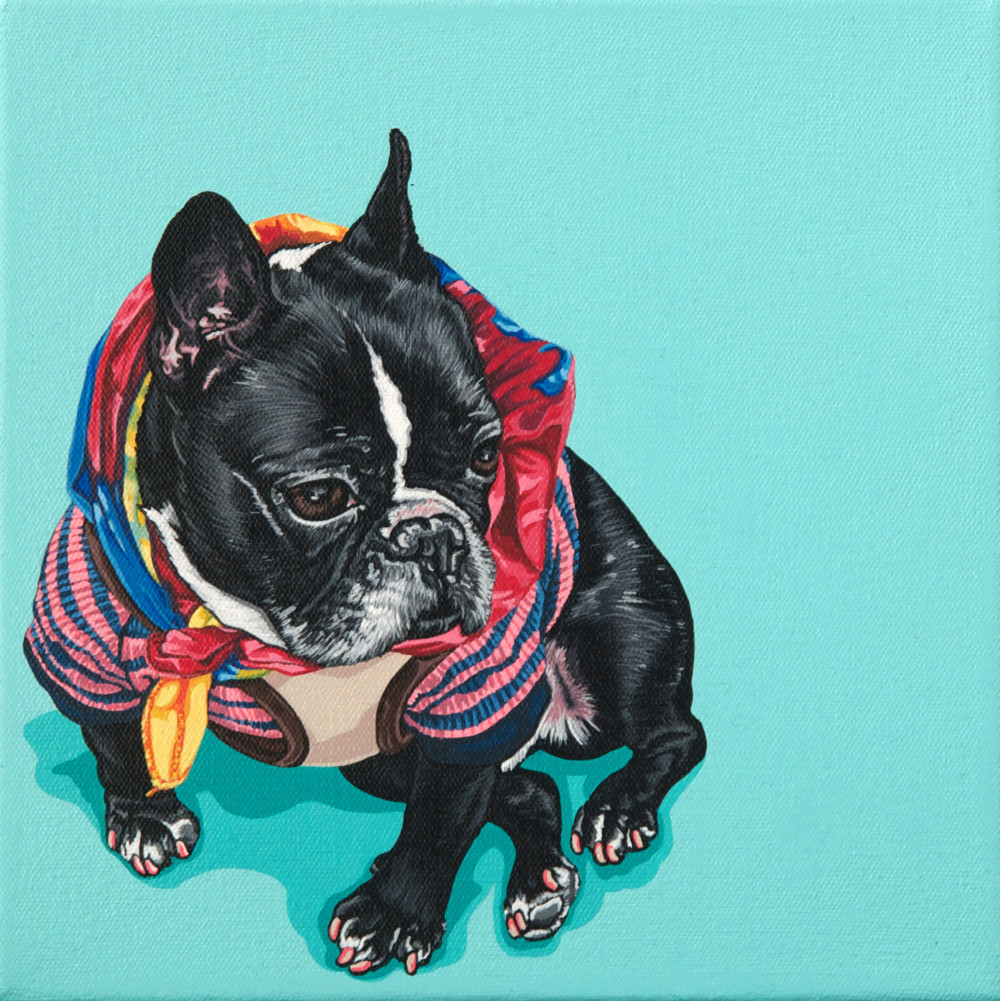 Contemporary Pet Portraits from Pop Zoo