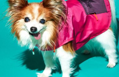 Color Block Puffer Jackets and Raincoats from Ware of the Dog