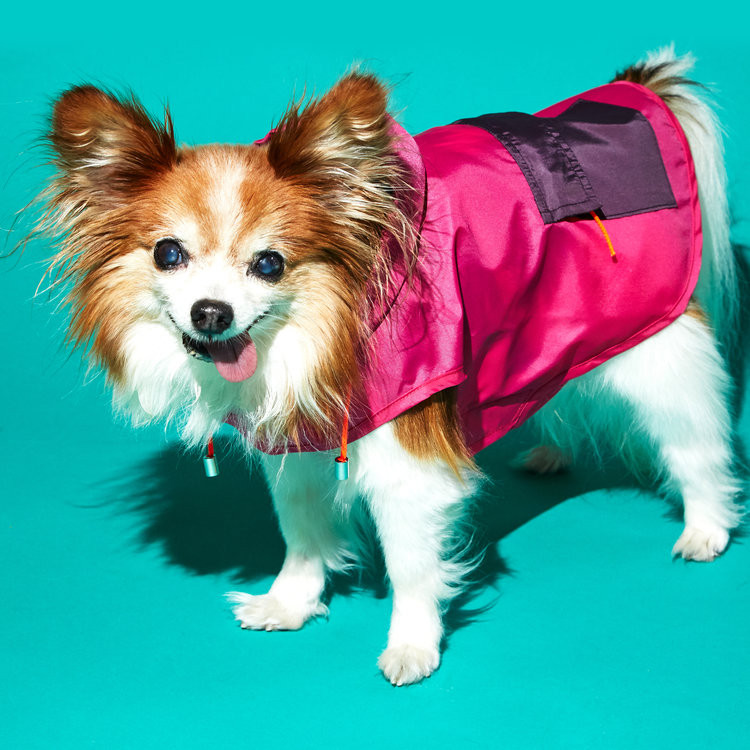 Color Block Puffer Jackets and Raincoats from Ware of the Dog