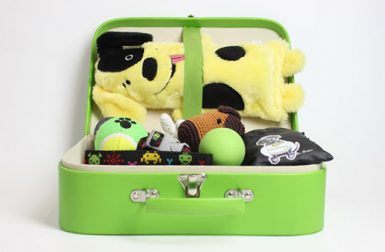 Puppy Hamper