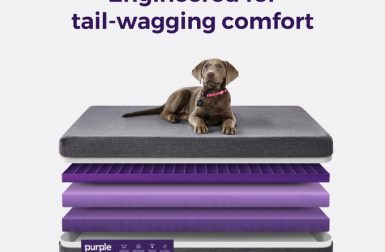 Purple Mattress Pet Beds