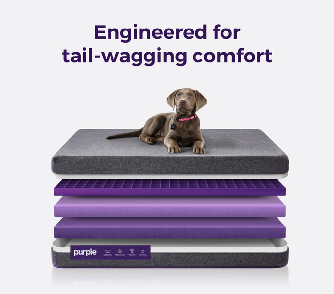 Purple Mattress Pet Beds