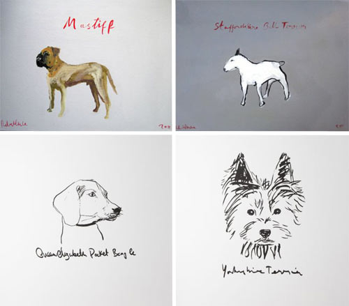 The A-Z of Dogs