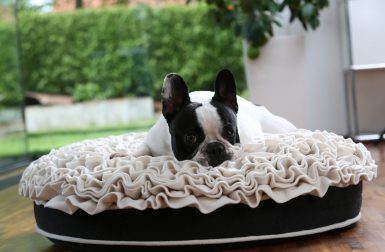 Bed of Roses Dog Bed from Pet Interiors