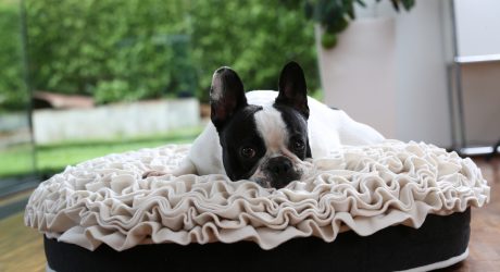 Bed of Roses Dog Bed from Pet Interiors