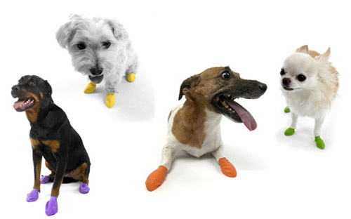 disposable dog booties